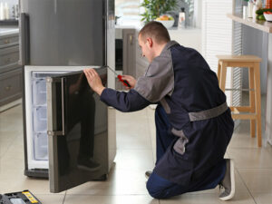 Sub-Zero Blues? Fixing Common Sub-Zero Freezer Problems